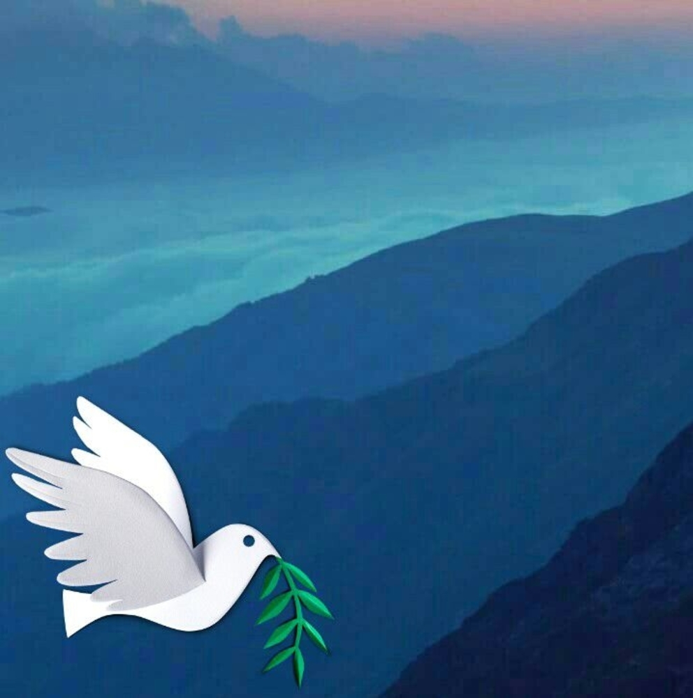 Meet your Posher, Sally